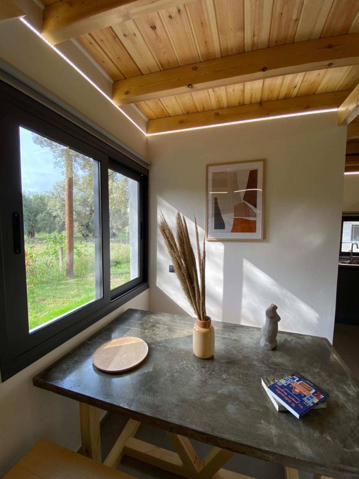 Olive Tree Apartments Λευκάδα Δωμάτιο φωτογραφία