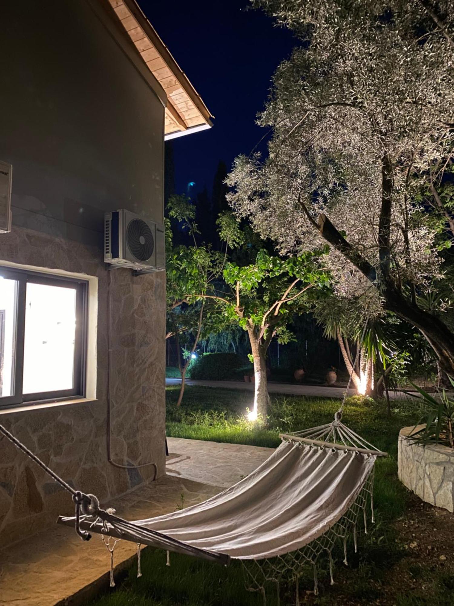 Olive Tree Apartments Λευκάδα Δωμάτιο φωτογραφία