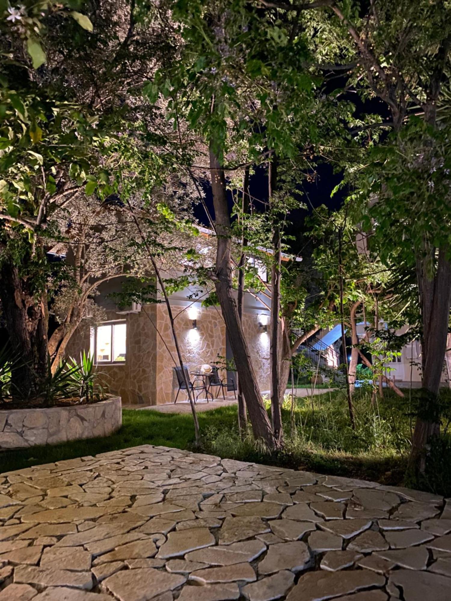 Olive Tree Apartments Λευκάδα Δωμάτιο φωτογραφία